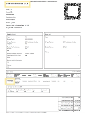 A sample visual representation of a consolidated self-billed e-Invoice